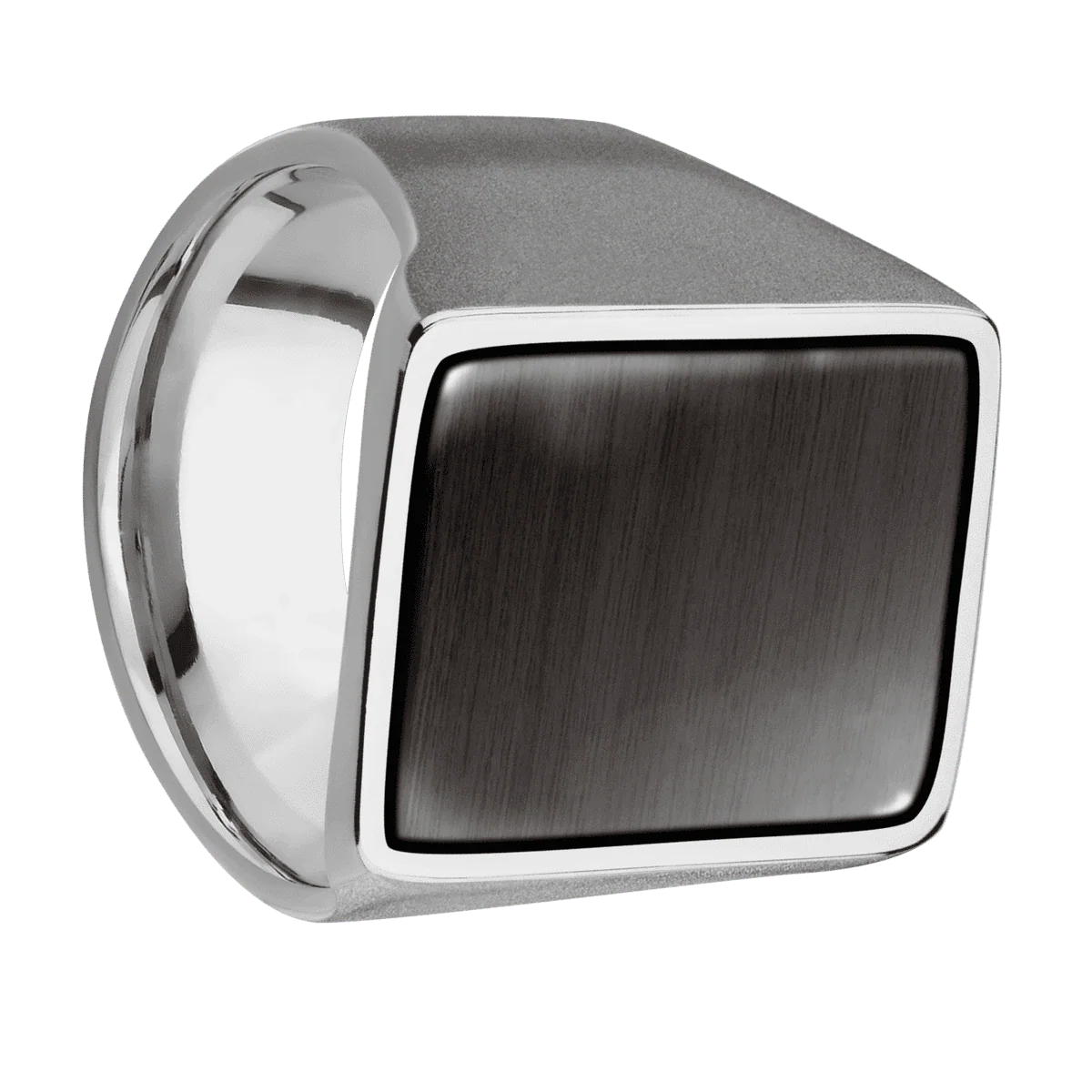 Extra Large Rectangle signet ring (24x17mm) in Titanium, with a Wide style band, a Madagascar Rose Wood inlay.