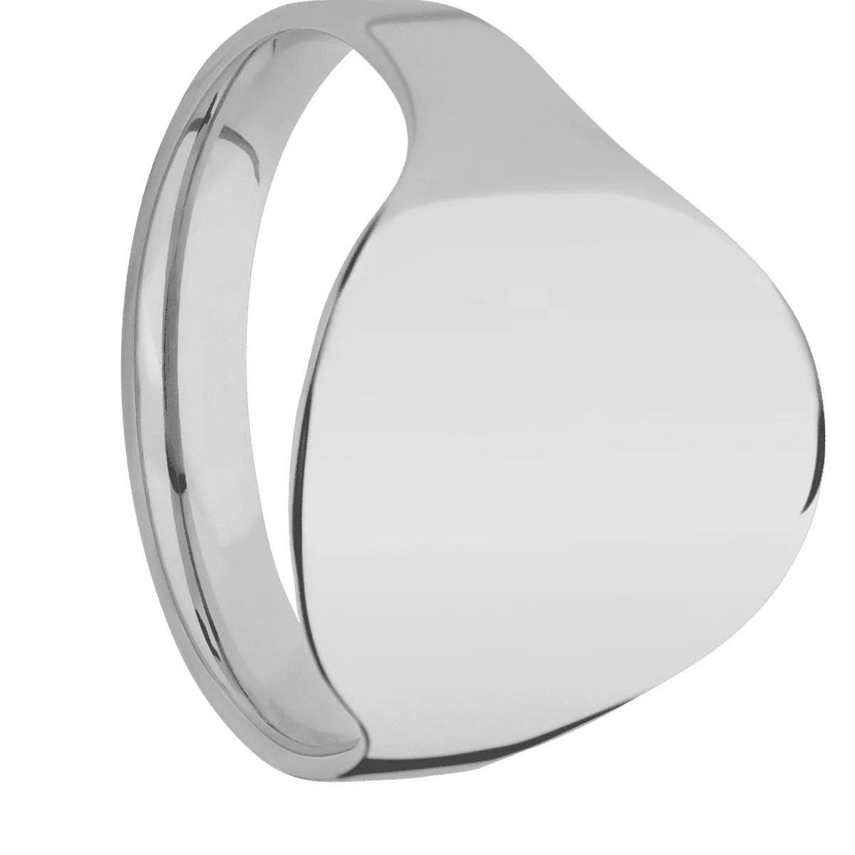Large Circle signet ring (18mm) in Titanium, with a Cigar style band.