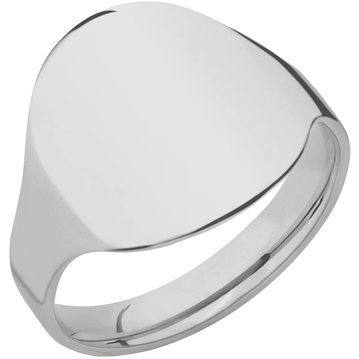 Large Circle signet ring (18mm) in Titanium, with a Cigar style band. - Image 2