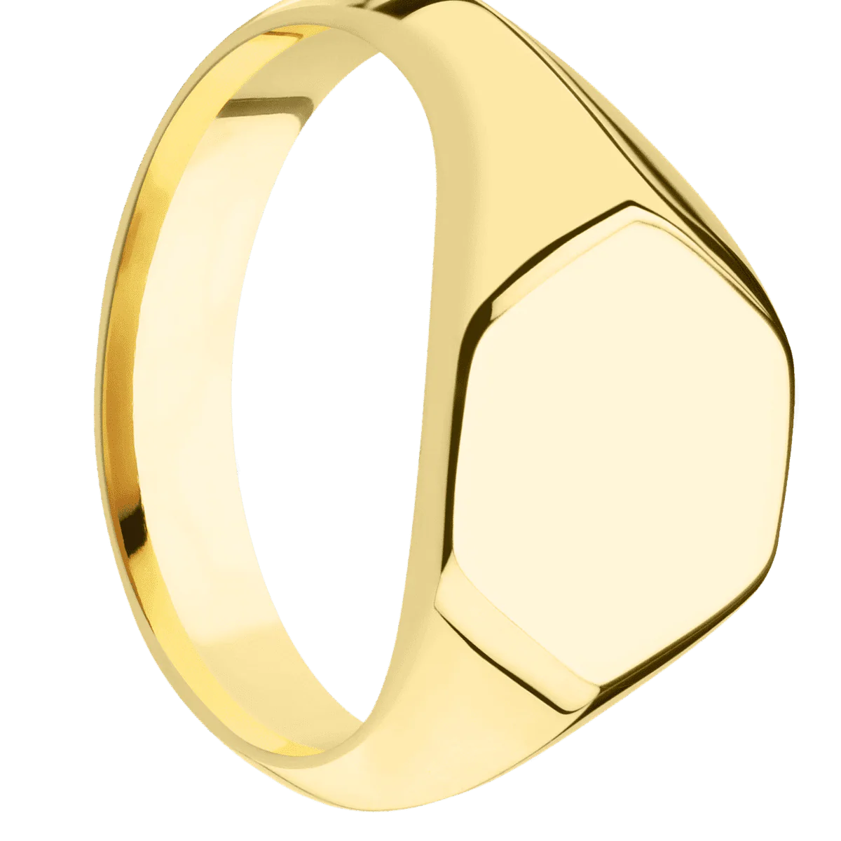 Medium Hexagon signet ring (13.9x12mm) in 10K Yellow Gold, with a Wide style band.
