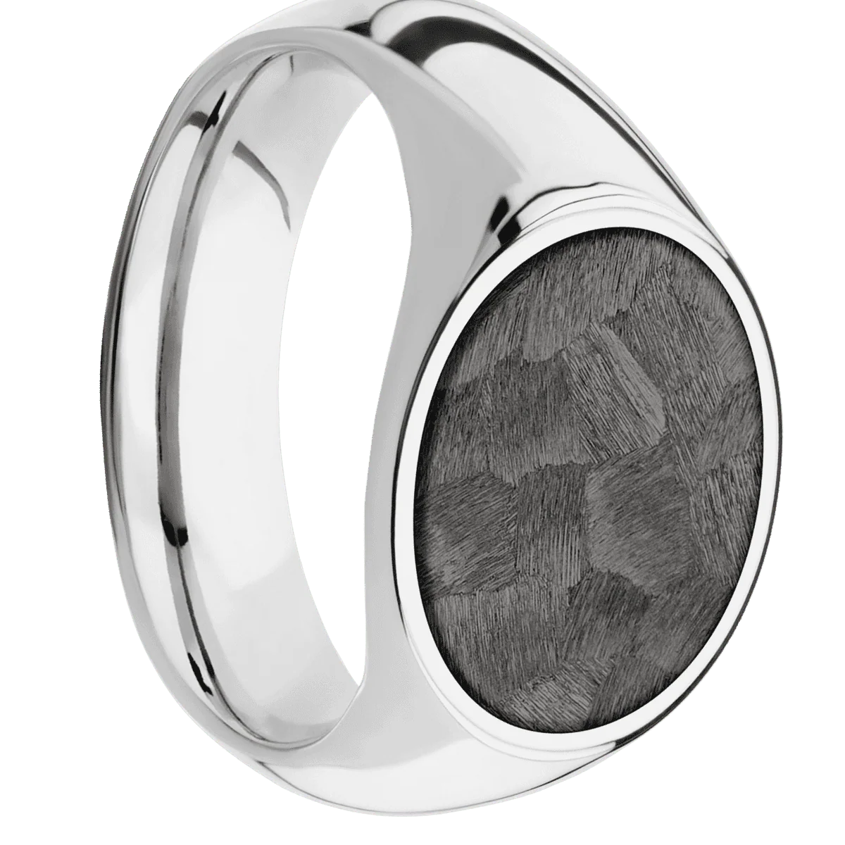 Medium Horizontal Oval signet ring (16x13mm) in Cobalt Chrome, with a Wide style band, a Tantalum Noir inlay.