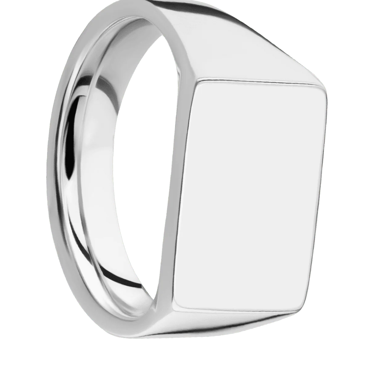Medium Horizontal Rectangle signet ring (16x11.5mm) in 14K White Gold, with a Wide style band.