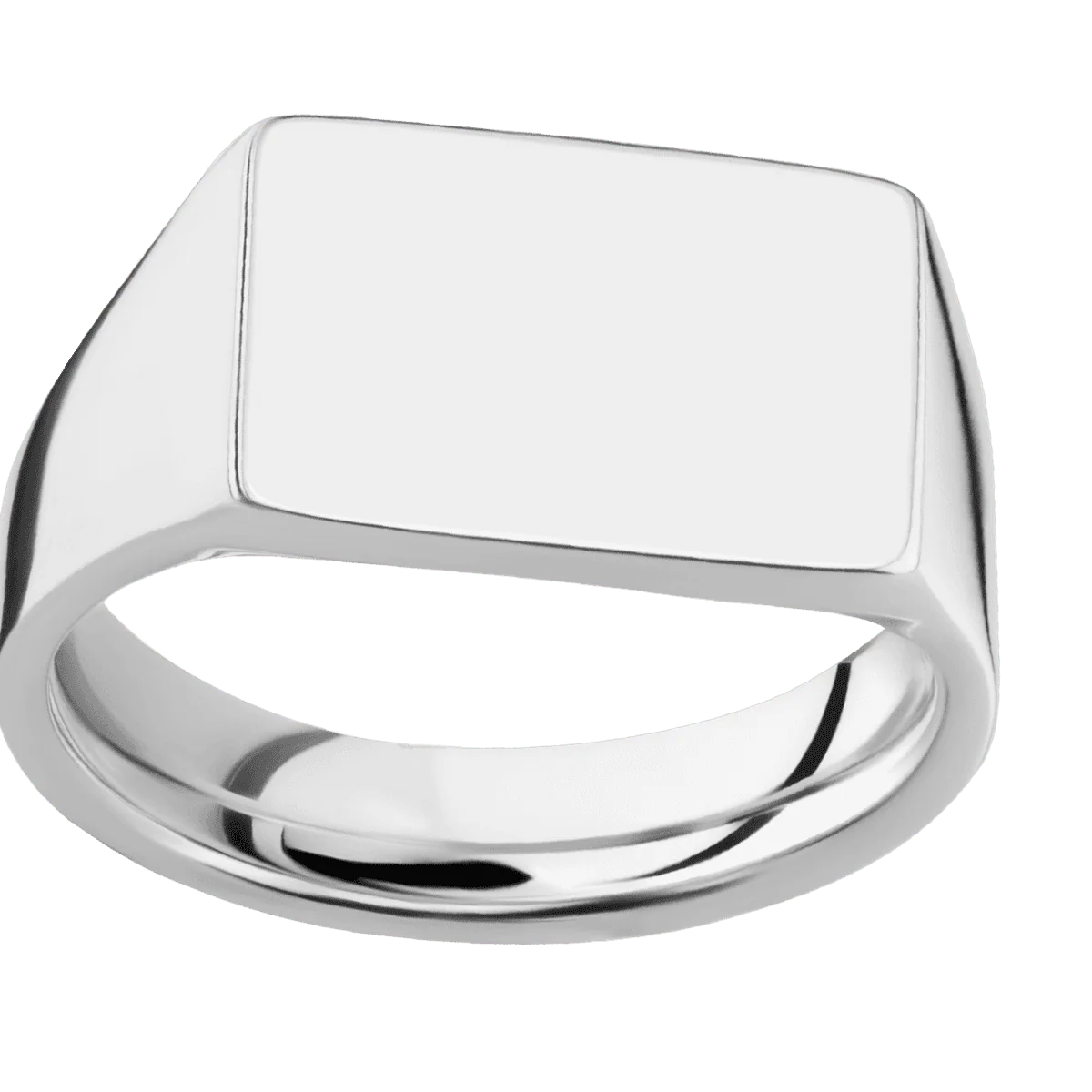 Medium Horizontal Rectangle signet ring (16x11.5mm) in 14K White Gold, with a Wide style band. - Image 3