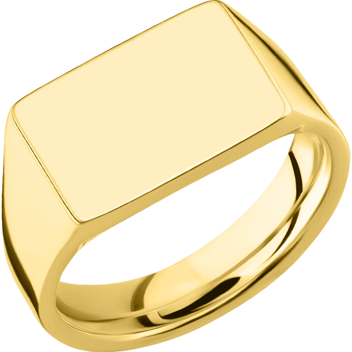 Medium Horizontal Rectangle signet ring (16x11.5mm) in 18K Yellow Gold, with a Wide style band. - Image 2