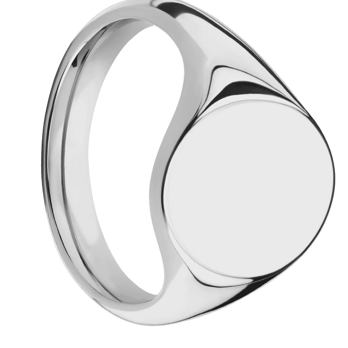Medium Oval signet ring (16x13mm) in Titanium, with a Thin style band.