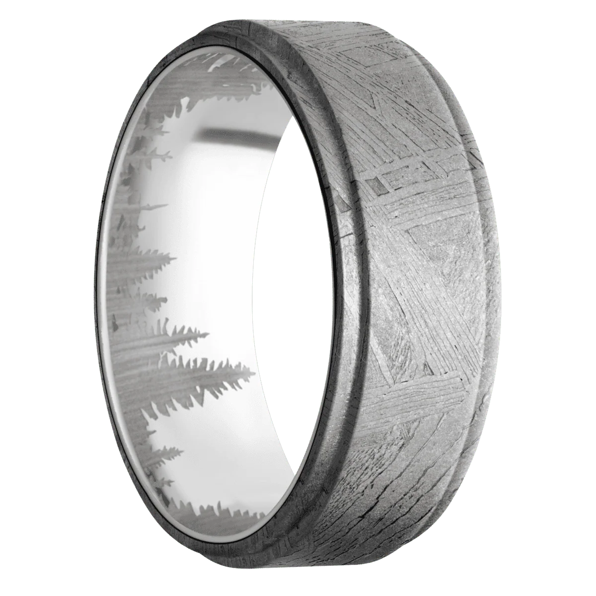 Meteorite + None Finish + Palladium Silver