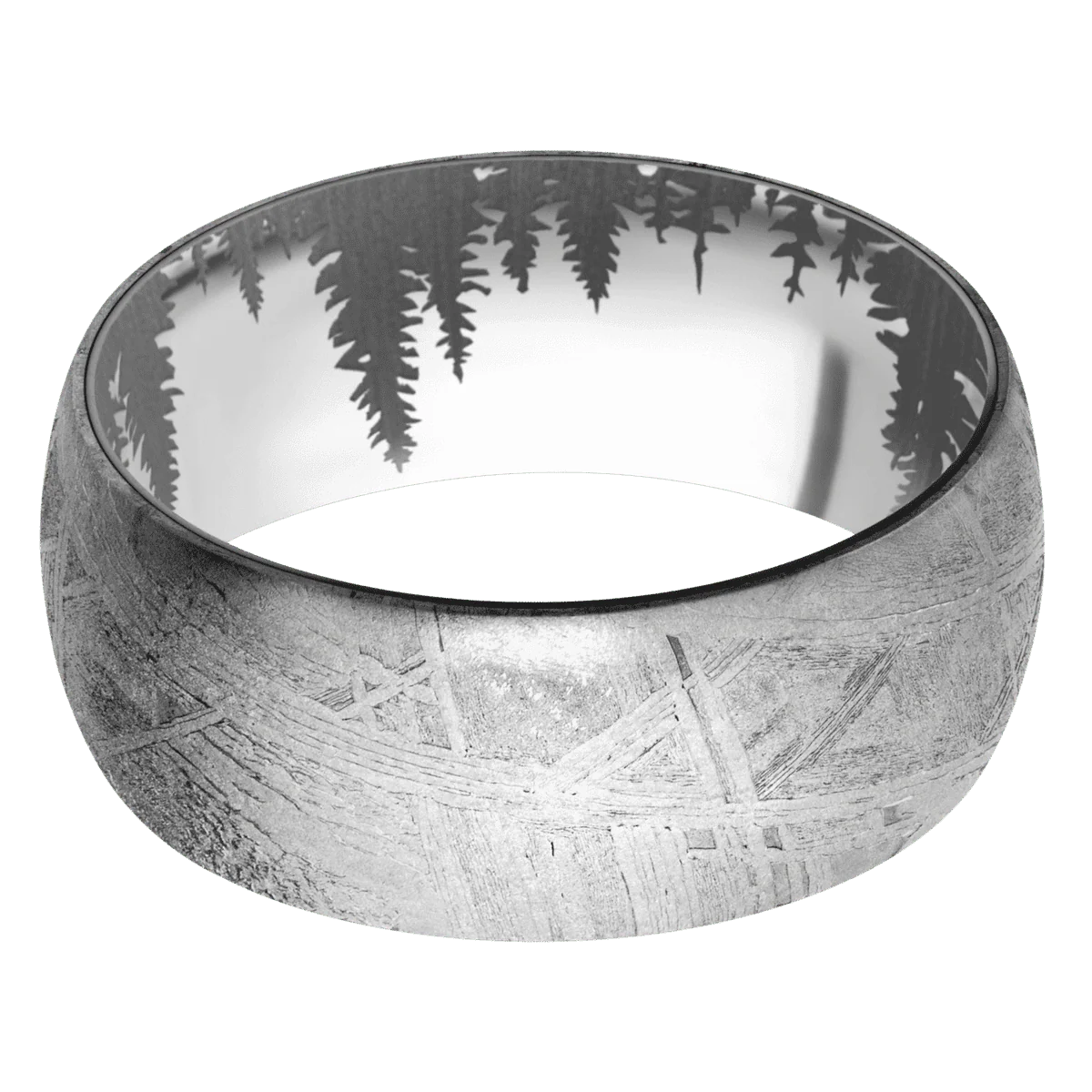 Meteorite + None Finish + Titanium - Image 3
